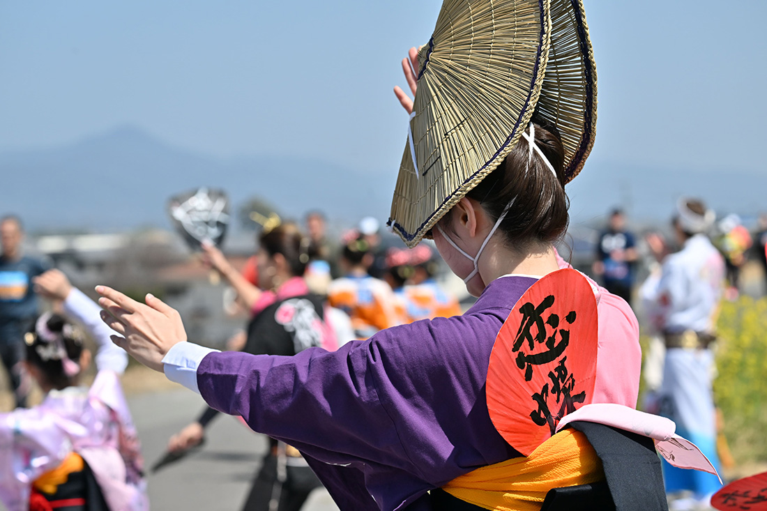沿道で見られる阿波おどり
