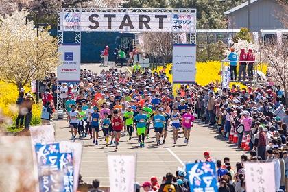 第37回燕さくらマラソン