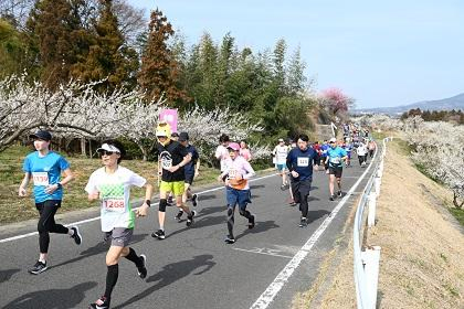 TAKASAKI CITY はるな梅マラソン