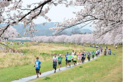 第28回 本庄こだま千本桜マラソン