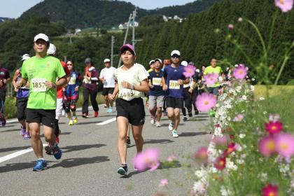 越後湯沢コスモスマラソン