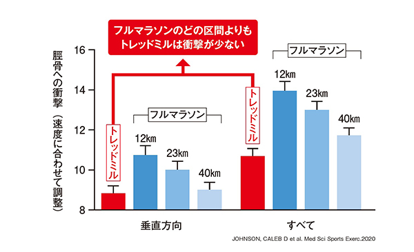 フルマラソン区間とトレッドミルの脛骨への衝撃比較グラフ