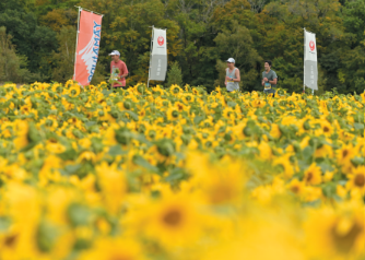 主催者部門大賞