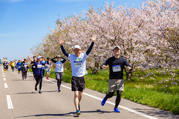 新年度最初の記録更新を狙うならココ！「燕さくらマラソン」4月12日（土）開催