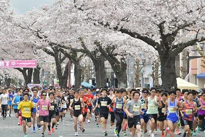 桜や桃、春の景色を楽しめる！4月のハーフマラソン