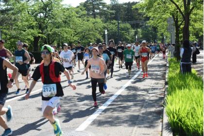 締切間近！　鯖江つつじ、ひがしねさくらんぼ、みかた残酷　など