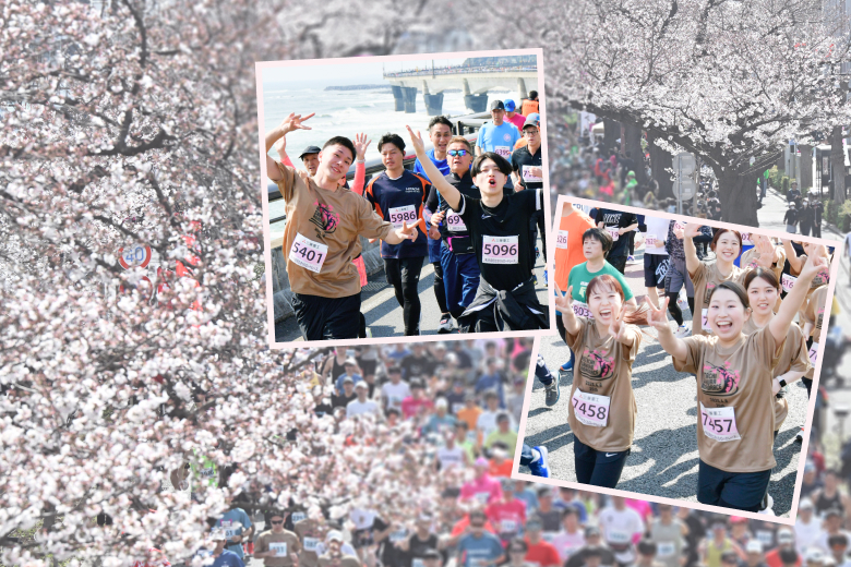 桜トンネルと太平洋の大海原、祭りも楽しめる！　日立さくらロードレース（4月5日開催）受付中