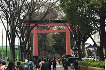 【地域】走ろうにっぽん「氷川神社・公園巡りコース」　週末ランレポート！