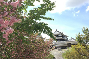 【地域】走ろうにっぽん「城山公園と松山城天守閣コース」「松山市一望！松山総合公園コース」実走レポート（愛媛）