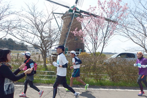 佐倉健康マラソン(2016年3月)