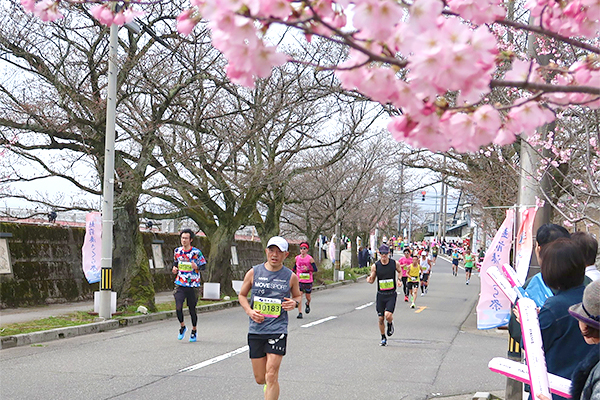 ふくい桜マラソン初開催　大会プロデューサーの大迫選手は 「どんどん記録が出るコース。あらゆるランナーに走ってほしい」