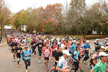 【悩み解決】50代半ばからのランニングスタート。ところが間もなく脚に痛みが…。練習内容が不安です。