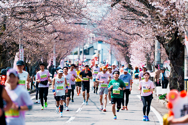 桜の開花日に1万2000人が出走！ 大迫傑選手プロデュースのふくい桜マラソン